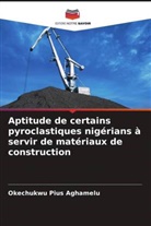 Okechukwu Pius Aghamelu - Aptitude de certains pyroclastiques nigérians à servir de matériaux de construction