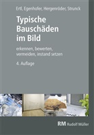 Martin Egenhofer, Ralf Ertl, Michael Hergenröder, Thomas Strunck - Typische Bauschäden im Bild
