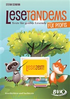 Stefan Schwinn - Lesetandems für Profis