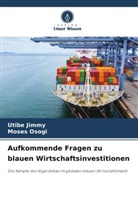 Utibe Jimmy, Moses Osogi - Aufkommende Fragen zu blauen Wirtschaftsinvestitionen