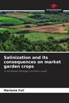 Marieme Fall - Salinization and its consequences on market garden crops