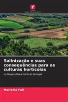 Marieme Fall - Salinização e suas consequências para as culturas hortícolas
