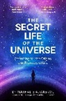 Nathalie A Cabrol, Cabrol Nathalie A. - The Secret Life of the Universe