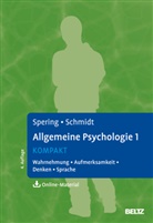 Thomas Schmidt, Miriam Spering - Allgemeine Psychologie 1 kompakt