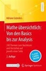 Adriane Gründers - Mathe übersichtlich: Von den Basics bis zur Analysis