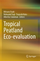 Tsuyoshi Kato, Mitsuru Osaki, Albertus Sulaiman, Nobuyuki Tsuji - Tropical Peatland Eco-evaluation