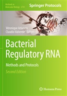 Véronique Arluison, Claudio Valverde - Bacterial Regulatory RNA