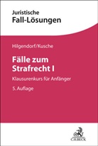 Eric Hilgendorf, Carsten Kusche - Fälle zum Strafrecht I