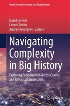 Leonid Grinin, Andrey Korotayev, David LePoire - Navigating Complexity in Big History
