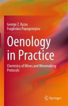 George Kyzas, George Z Kyzas, George Z. Kyzas, Fragkiskos Papageorgiou - Oenology in Practice