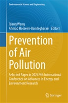 Hosseini-Bandegharaei, Ahmad Hosseini-Bandegharaei, Qiang Wang - Prevention of Air Pollution