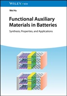 Wei Hu - Functional Auxiliary Materials in Batteries