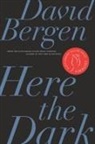 David Bergen - Here the Dark