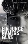 Hanni Serway - Ein Junge namens Glas