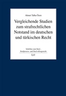Ahmet Talha Özen - Vergleichende Studien zum strafrechtlichen Notstand im deutschen und türkischen Recht