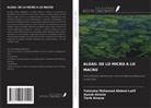 Ayoub AINANE, Tarik Ainane, Fatouma Mohamed Abdoul-Latif - ALGAS: DE LO MICRO A LO MACRO