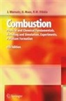 Robert W. Dibble, Ulrich Maas, J. Warnatz - Combustion