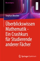 Stephan Mescher - Überblickswissen Mathematik - Ein Crashkurs für Studierende anderer Fächer