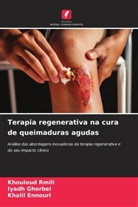 Khalil Ennouri, Iyadh Ghorbel, Khouloud Rmili - Terapia regenerativa na cura de queimaduras agudas
