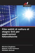 Mosbah Amlouk, Meriem Reghima, Najoua Turki Kamoun - Film sottili di solfuro di stagno SnS per applicazioni fotovoltaiche