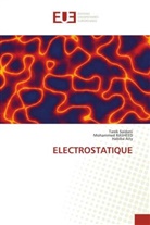 Habiba Aity, Mohammed Rasheed, Tarek Saidani - ELECTROSTATIQUE