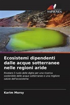 Karim Morsy - Ecosistemi dipendenti dalle acque sotterranee nelle regioni aride