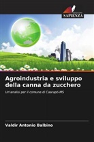 Valdir Antonio Balbino - Agroindustria e sviluppo della canna da zucchero