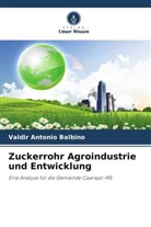 Valdir Antonio Balbino - Zuckerrohr Agroindustrie und Entwicklung