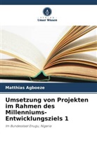 Matthias Agboeze - Umsetzung von Projekten im Rahmen des Millenniums-Entwicklungsziels 1