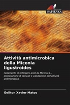 Geilton Xavier Matos - Attività antimicrobica della Miconia ligustroides