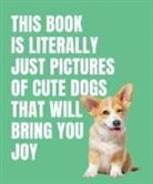Smith Street Books - This Book is Literally Just Cute Dogs That Will Bring You Joy