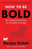 Ranjay Gulati, Gulati Ranjay - How to Be Bold