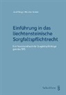 Josef Bergt, Nicolas Graber - Einführung in das liechtensteinische Sorgfaltspflichtrecht