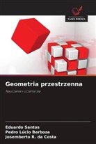 Pedro Lucio Barboza, Josemberto R. da Costa, Eduardo Santos - Geometria przestrzenna