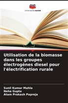 Neha Gupta, Sunil Kumar Mahla, Atam Prakash Papreja - Utilisation de la biomasse dans les groupes électrogènes diesel pour l'électrification rurale
