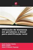 Neha Gupta, Sunil Kumar Mahla, Atam Prakash Papreja - Utilização de biomassa em geradores a diesel para eletrificação rural