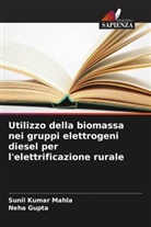 Neha Gupta, Sunil Kumar Mahla - Utilizzo della biomassa nei gruppi elettrogeni diesel per l'elettrificazione rurale