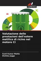 Dishika Jagga, Sunil Kumar Mahla - Valutazione delle prestazioni dell'estere metilico di ricino nel motore CI