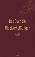 Barbour Publishing, Barbour Publishing - Das Buch der Bibelverheißungen