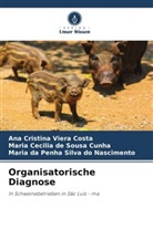 Ana Cristina Viera Costa, Maria Cecilia de Cunha, Maria Cecilia de Sousa Cunha, Maria da Penha Silva do Nascimento - Organisatorische Diagnose