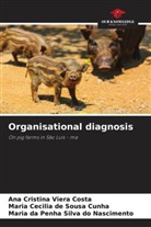 Ana Cristina Viera Costa, Maria Cecilia de Sousa Cunha, Maria Da Penha Silva Do Nascimento - Organisational diagnosis