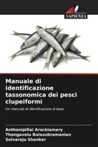 Anthonipillai Arockiamary, Thangavelu Balasubramanian, Selvaraju Shanker - Manuale di identificazione tassonomica dei pesci clupeiformi