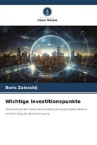 Boris Zalesskij - Wichtige Investitionspunkte