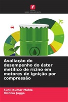 Dishika Jagga, Sunil Kumar Mahla - Avaliação do desempenho do éster metílico de rícino em motores de ignição por compressão