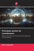 Boris Zalesskij - Principais pontos de investimento