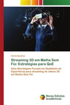 Carlos Quadros - Streaming 3D em Malha Sem Fio: Estratégias para QoE