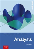 DMK Deutschschweizerische Mathematikkommission, Baoswan Dzung Wong, Marco Schmid, Sourlier-Kün, Regula Sourlier-Künzle, Hansjürg Stocker... - Analysis (Print inkl. E-Book Edubase, Neuauflage 2025)