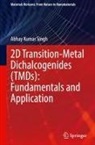Abhay Kumar Singh - 2D Transition-Metal Dichalcogenides (TMDs): Fundamentals and Application