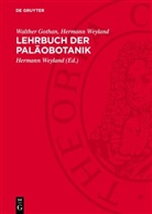 Walther Gothan, Hermann Weyland, Hermann Weyland - Lehrbuch der Paläobotanik