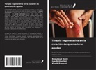 Khalil Ennouri, Iyadh Ghorbel, Khouloud Rmili - Terapia regenerativa en la curación de quemaduras agudas
